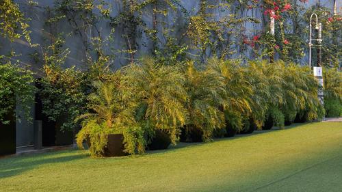 Landscape Garden and Tree Planting towers Landscape Garden and Tree Planting