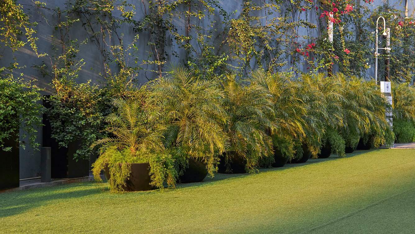 towers Landscape Garden and Tree Planting