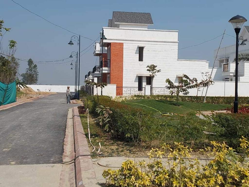  imperia phase ii Elevation