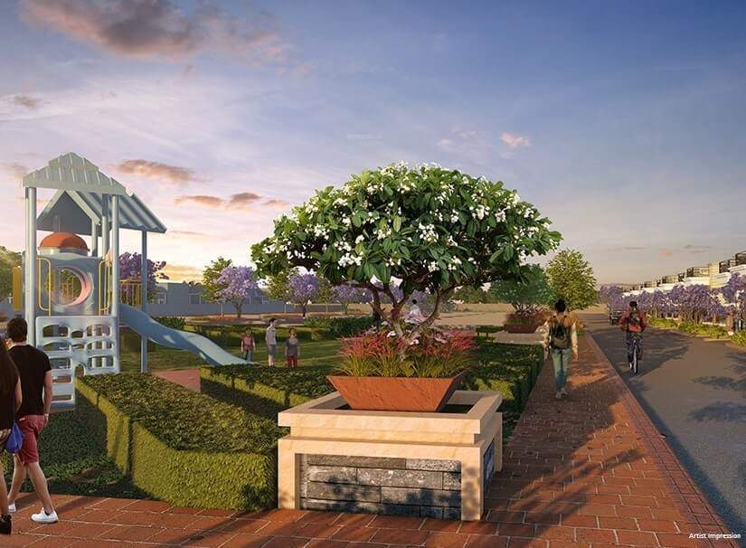  imperia phase ii Others