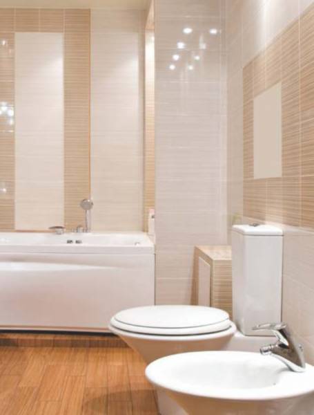  river-valley-phase-i Bathroom