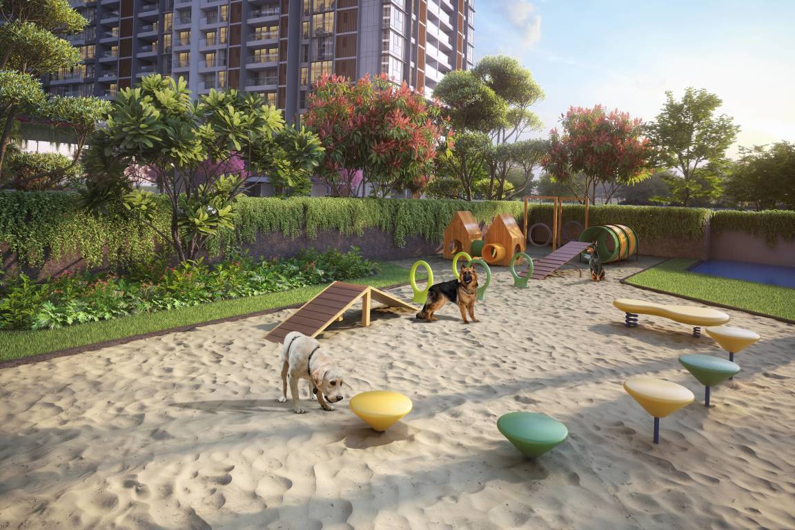  evolvus phase i Others