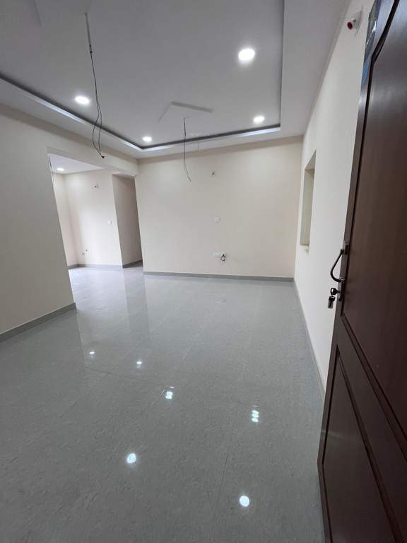  ss signature SS Signature Construction Status Nov 24