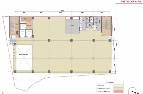  cosmopolitan Cosmopolitan Cluster Plan for 1st Floor