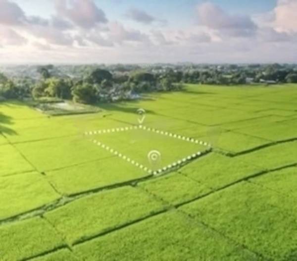  sri-achyuta-meadows Elevation