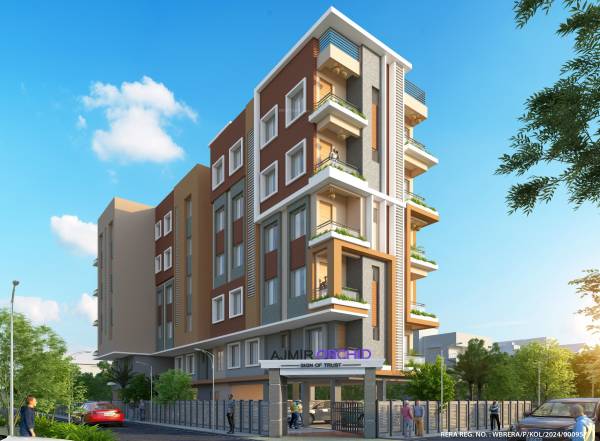 Elevation orchid Elevation