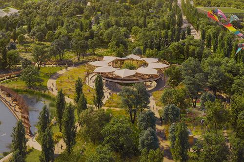  homes Landscape Garden and Tree Planting