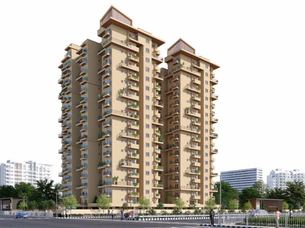 Elevation falcon Elevation