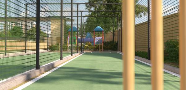  falcon Cricket Pitch