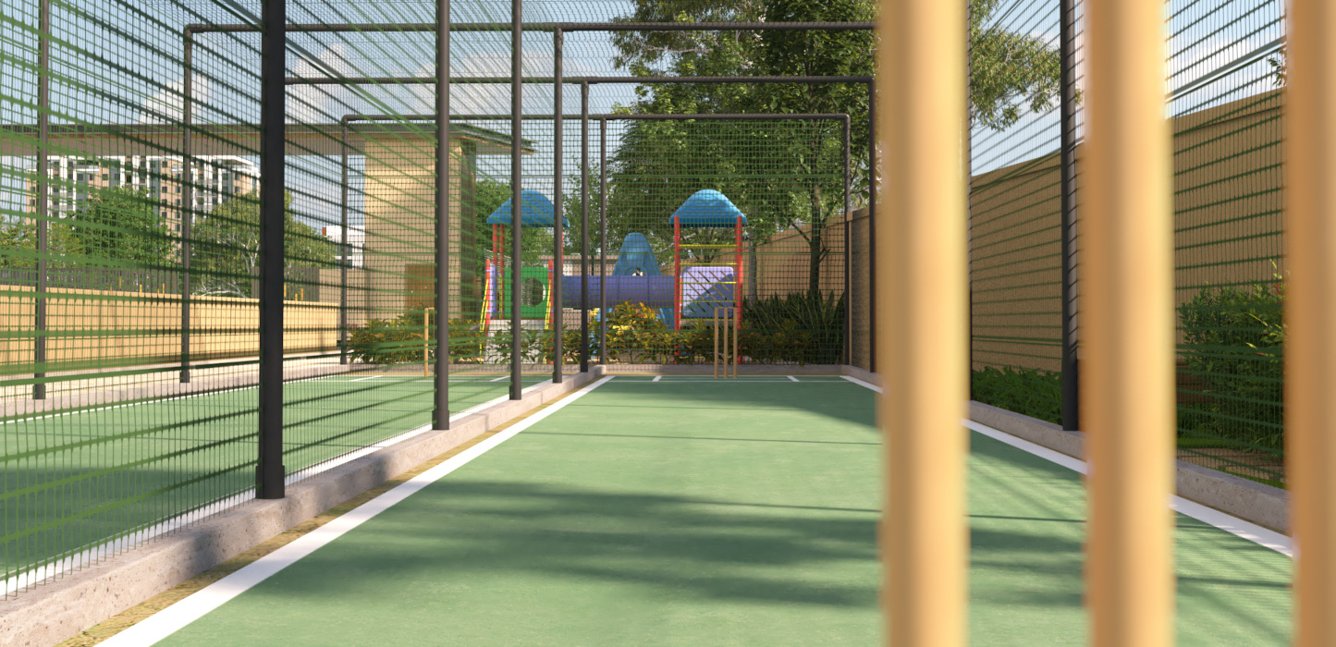  falcon Cricket Pitch