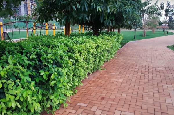  nikoo-homes-vi-phase-2 Jogging Track