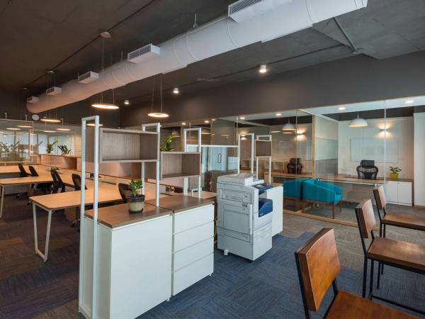 Others aster-plaza Others