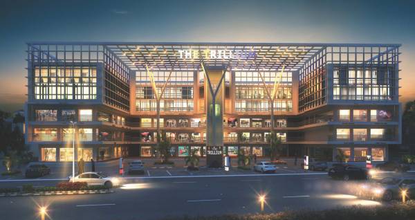  the-trillium Elevation