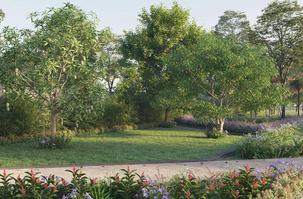  eden estate phase 1 Landscape Garden and Tree Planting