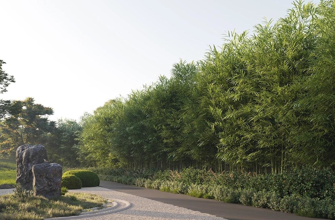  eden estate phase 1 Paved Compound