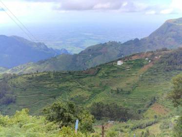  anugrahaa-heavenly-haven-plots Elevation