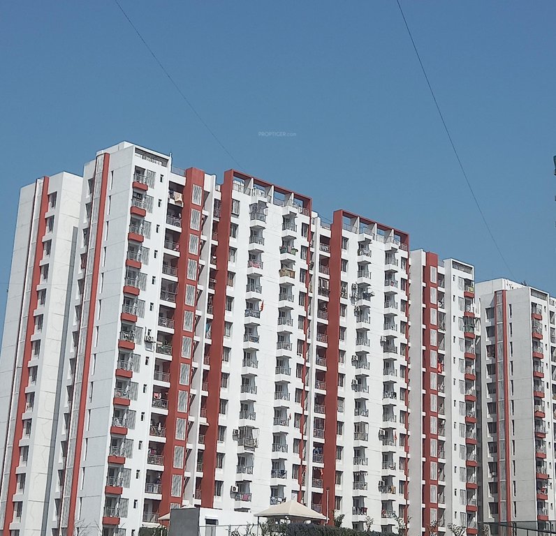 Majestique Rhythm County Phase IV