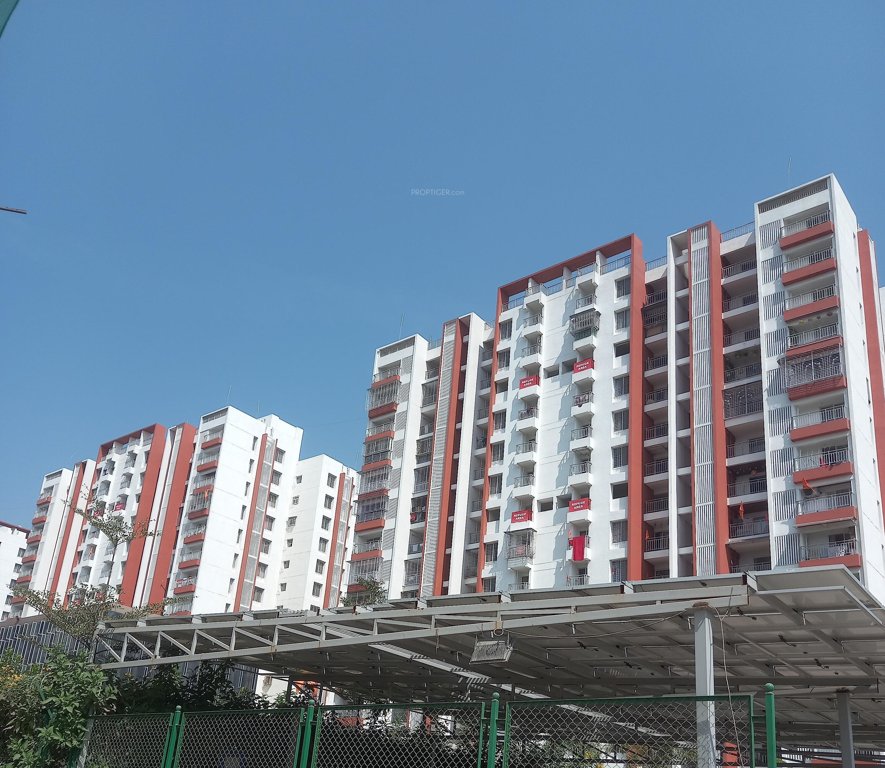 Majestique Rhythm County Phase IV