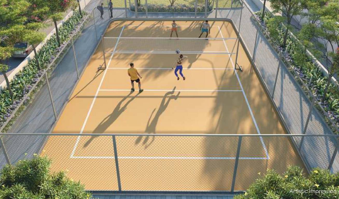 Majestique Rhythm County Phase IV