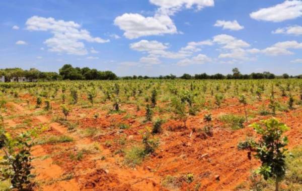  green-valley-farms Elevation