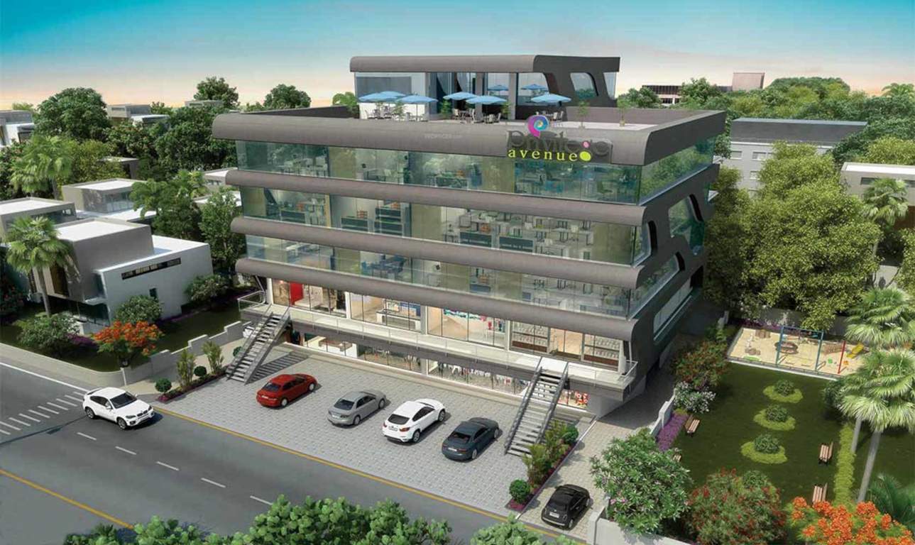  privilege avenue Elevation