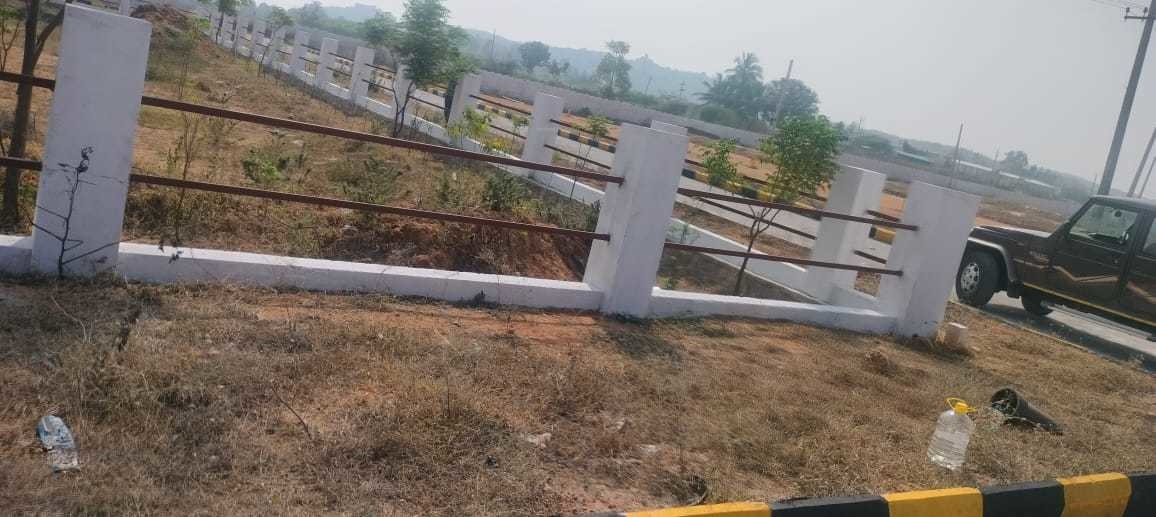  sv golden city 6 Plot