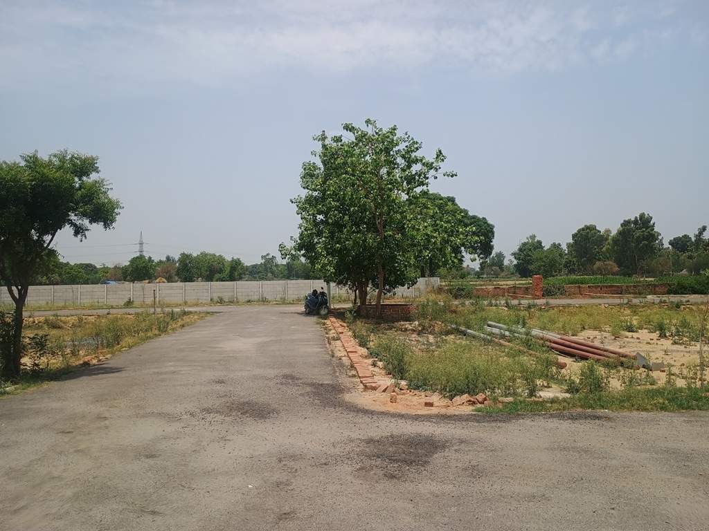  paradise Plot