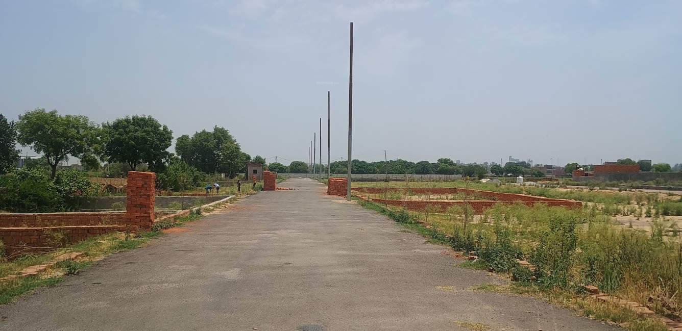  paradise Plot