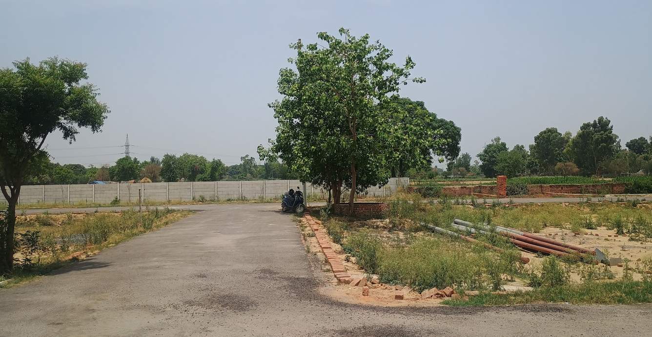  paradise Plot