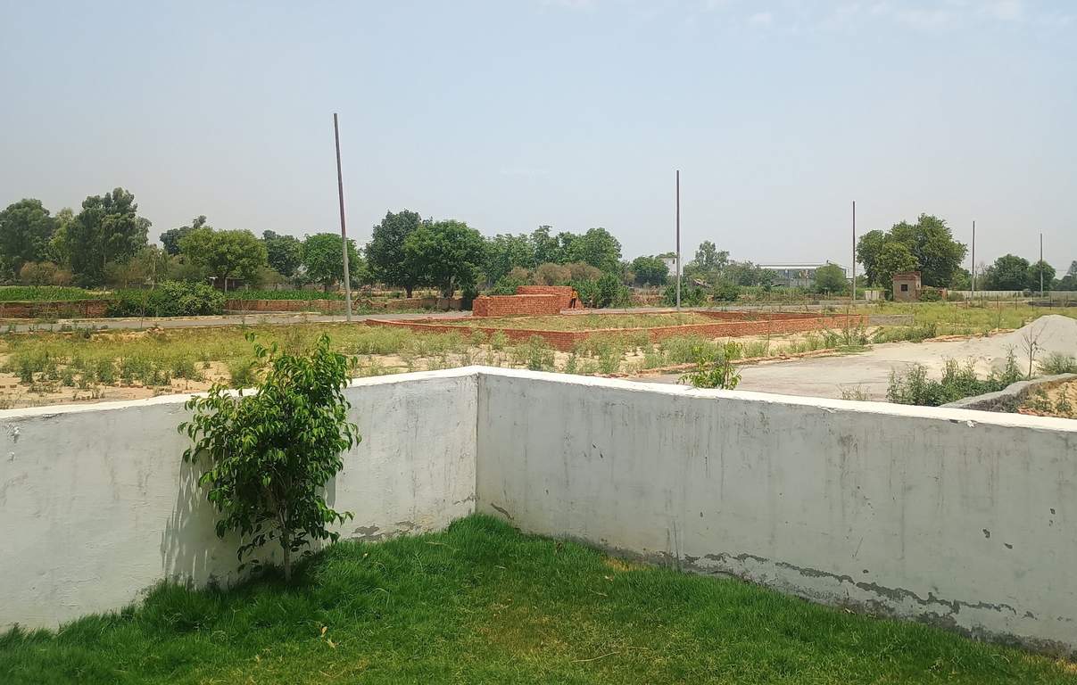  paradise Plot