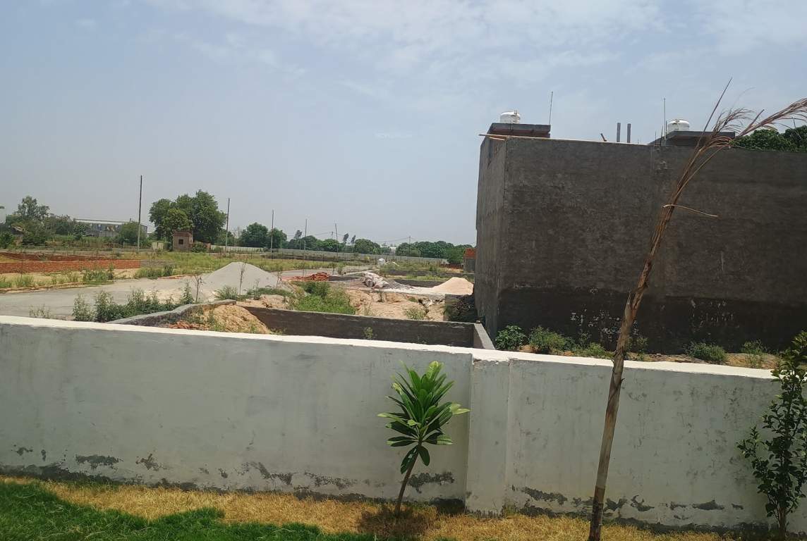  paradise Plot