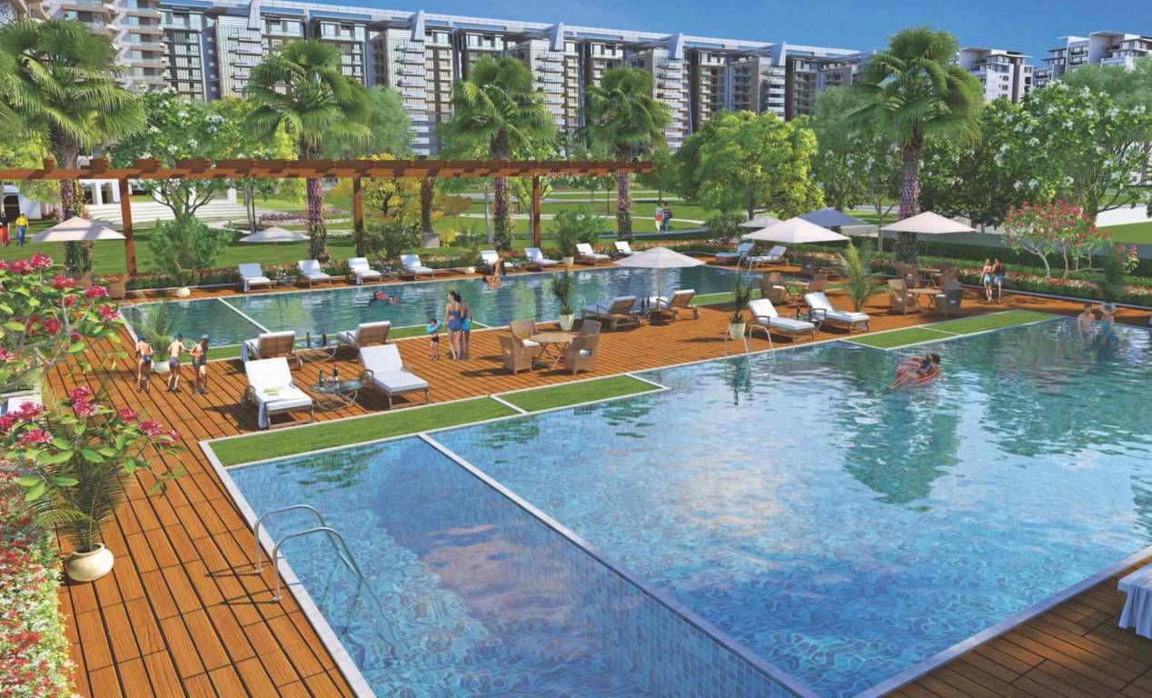  paalm paradise Swimming Pool