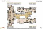  west-county-phase-6-dosti-maple Maple Wing B - Building No 3 Cluster Plan
