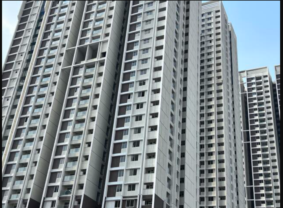  the regent Construction Status March 25