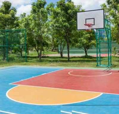  aurobindo-the-regent Basketball Court