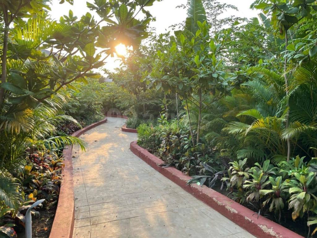 nagar 19 sec a Paved Compound