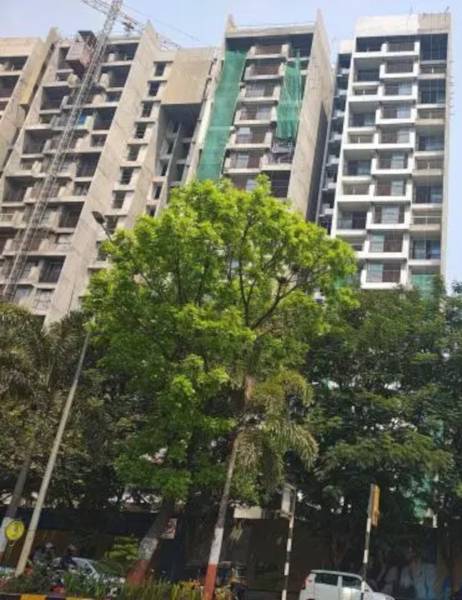  west-square Tower 1 Construction Status March-25