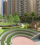 Amphitheater padmavati-hills-a-wing Amphitheater