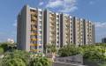 Binary Realty Temple Tree