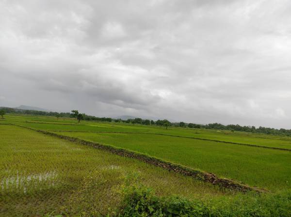 Elevation -infra-residential-plot-in-ranjanpada-mahamumbai Elevation