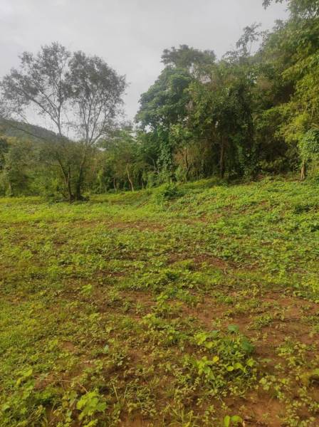  -infra-residential-plot-in-ranjanpada-mahamumbai Plot