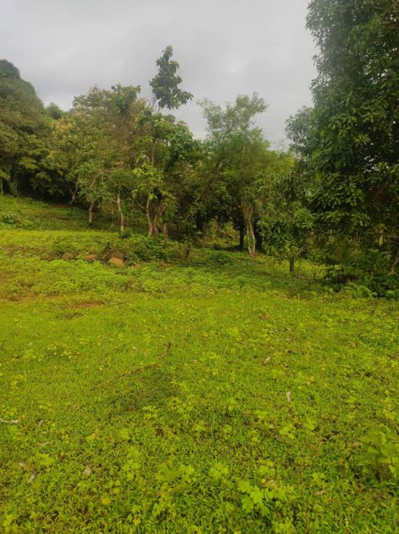   infra residential plot in ranjanpada mahamumbai Plot