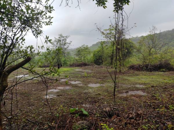  infra-residential-plot-in-ulwe-mahamumbai Elevation