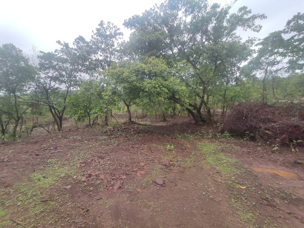 infra residential plot in ulwe mahamumbai Plot