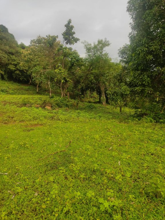  infra residential plot in ulwe mahamumbai Plot