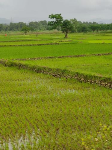  infra-residential-plot-in-belondekhar-mahamumbai Elevation