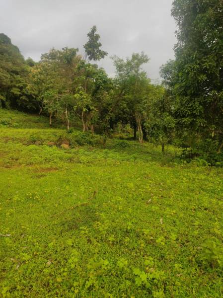  infra-plot-in-belondekhar-mahamumbai Plot