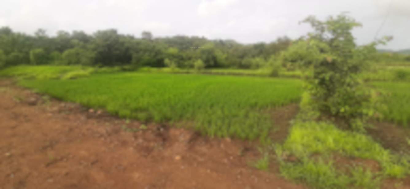  infra plot in vindhane mahamumbai Plot