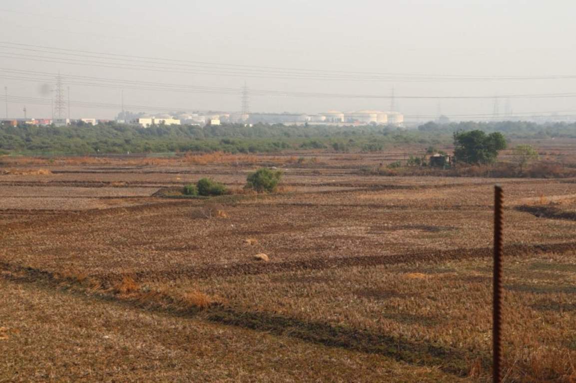  infra plot in vindhane mahamumbai Plot