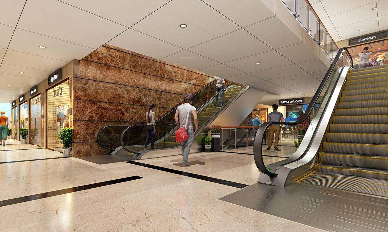  zircon arena High Speed Elevators